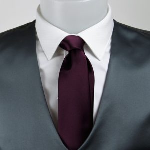 Cravatta prugna