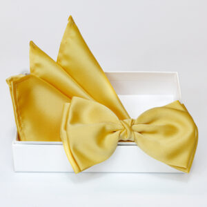 Papillon oro in viscosa con pochette