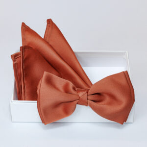 Papillon rame in viscosa con pochette