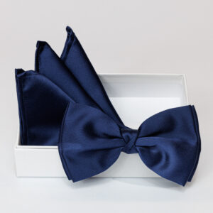 Papillon blu chiaro in viscosa con pochette