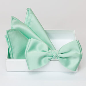 Papillon verde chiaro in viscosa con pochette