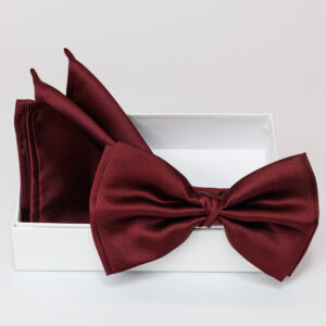 Papillon bordeaux in viscosa con pochette