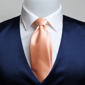 Cravatta viscosa pesca