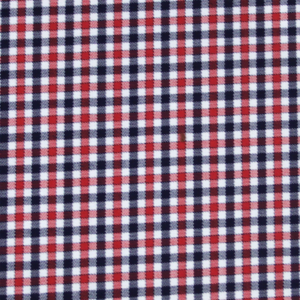 RED AND BLUE CHECK TWILL